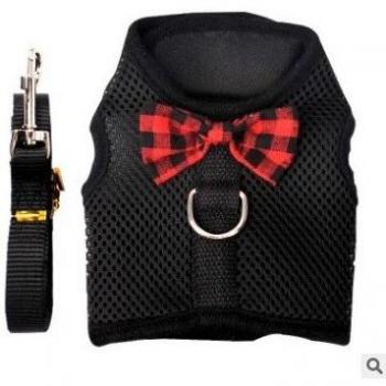 Teacup Animal Harness Bundle with Leash