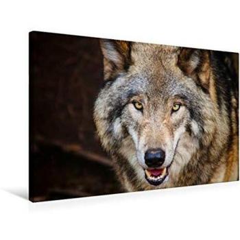 Calvendo Meister-Leinwand 75 x 50 cm – Isegrim Wolf, Künstlerdruck Renate Bleicher