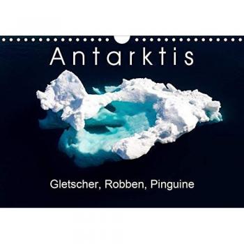 Antarktis Gletscher, Robben, Pinguine