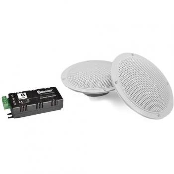 Haut-Parleur 5” Conique 80 W – Kit Hifi Étanche avec Amplificateur Google Home & Alexa