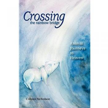 Crossing the Rainbow Bridge