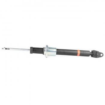 Ammortizzatore BSG 60‑300‑055: performance e durata