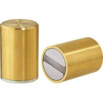 Magnete Neodimio Cilindrico con Accoppiamento Hoffmann