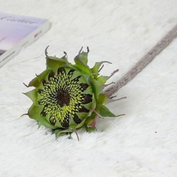 Realistic Sunflower Stem