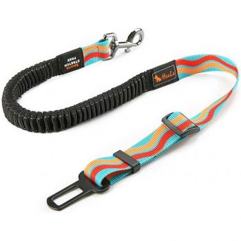 Système de ceinture de sécurité pour animaux de compagnie avec harnais