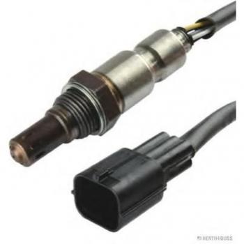 Sonda Lambda de Rendimiento HERTH+BUSS