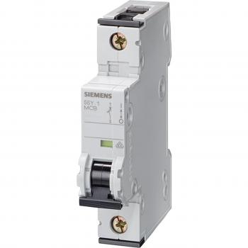 Sicurezza Elettrica Siemens 5SY6 20A C 6kA
