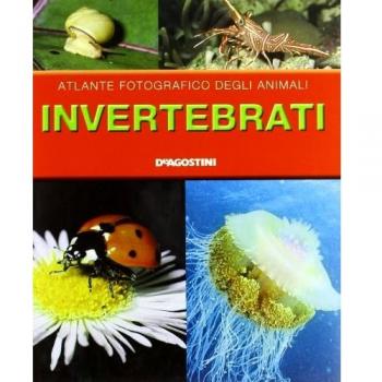 Invertebrati