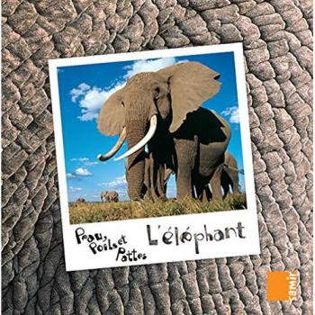 L'éléphant