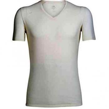 Icebreaker Men's Anatomica V Merino Wool Short Sleeve Top