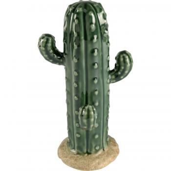 Mysteriöse Kaktus-Figur