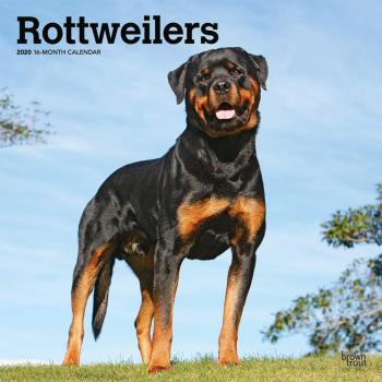 Rottweilers