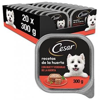 Cesar Buey Hunde-Nassfutter 20er Pack 300g