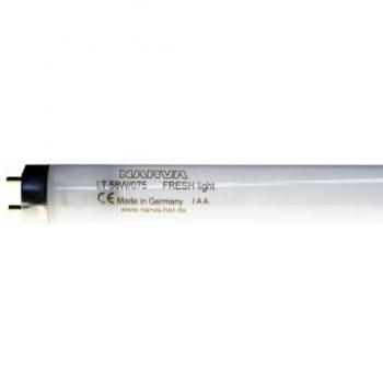 Tubo T8 58W Luz Fresca G13