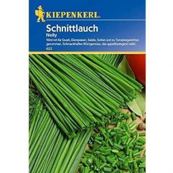 Kiepenkerl Schnittlauch „Nelly“ Samen
