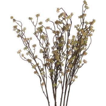 Branch in Bloom Decorative Filler