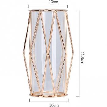 Iron Line Hydroponic Vase