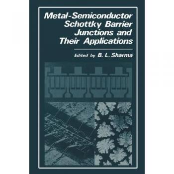 Metal-Semiconductor Schottky Barrier Junctions and Their Applications