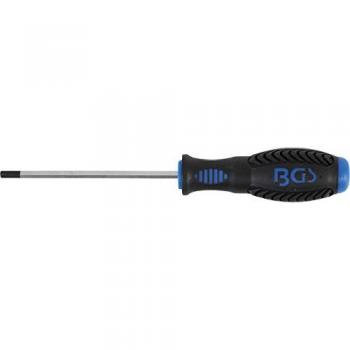 BGS 8629‑5 Tournevis 6 Pans Internes, H 4,0 × 100 mm