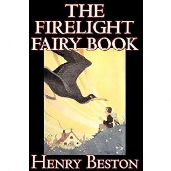 The Firelight Fairy Book