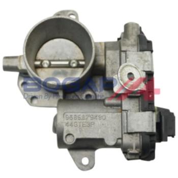 BOGAP 31-90-14: Corpo Farfallato