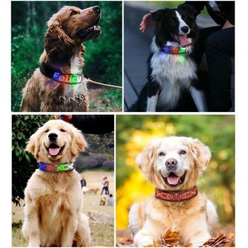Programmable LED Dog Collar
