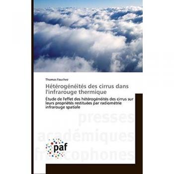 Hétérogénéités des cirrus dans l'infrarouge thermique: Étude de l'effet des hétérogénéités des cirrus sur leurs propriétés restituées par radiométrie infrarouge spatiale