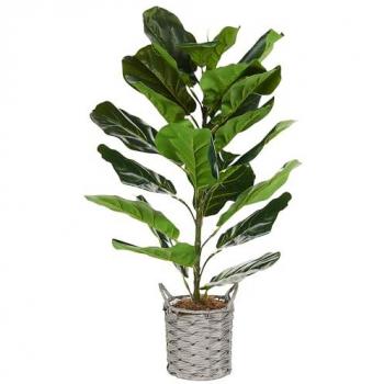 Planta Artificial Higuera Hoja de Violín en Maceta 72 cm Decoración Interior Plástico