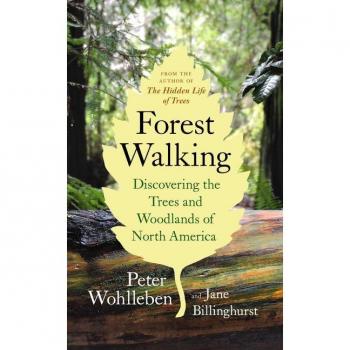 Forest Walking : Discovering the Trees and Woodlands of North America, by Peter Wohlleben