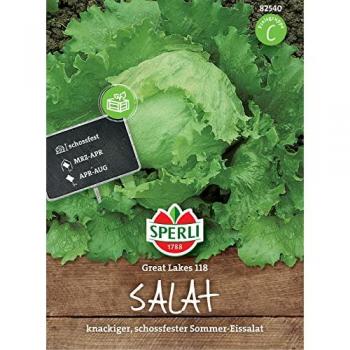 Eissalat 'Great Lakes' Samen