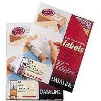 Leitz Transparent Address Labels 89 x 36 mm (260 Count)