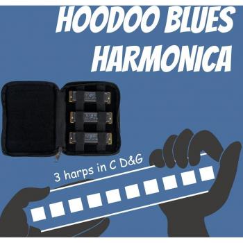 LOMMI Harmonica de 10 Agujeros para Profesionales