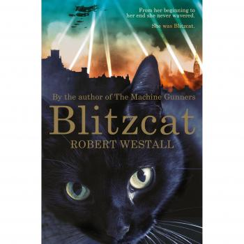 Blitzcat Book