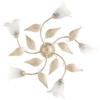 Bonetti Illumina
