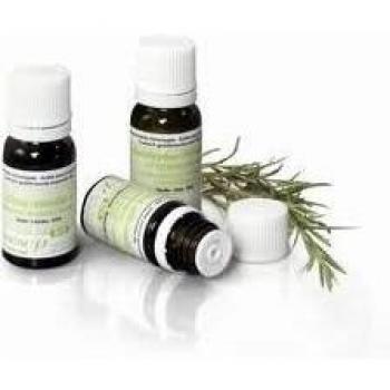 Pranarom Sauge Officinale Huile Essentielle Bio 10 ml