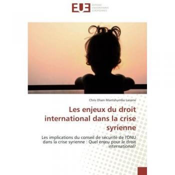 Les enjeux du droit international dans la crise syrienne: Les implications du conseil de sécurité de l'ONU dans la crise syrienne : Quel enjeu pour le droit international?