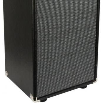 Ampeg SVT-210AV Micro Bass Speaker Cabinet