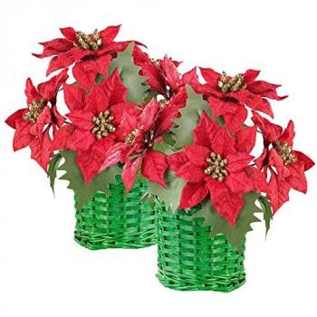 Joyeux Bouquet de Noël avec Poinsettias tissés