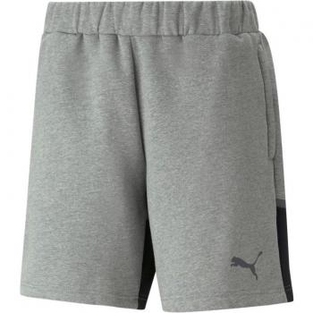 Puma TeamCUP Casuals Herren Shorts Grau XXL