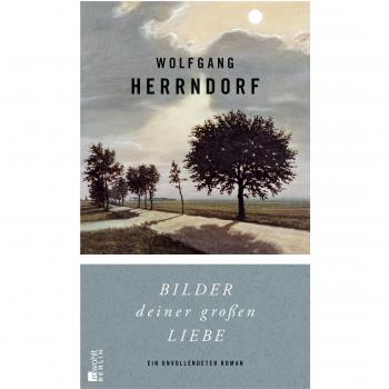 Herrndorf, Wolfgang: Bilder deiner großen Liebe