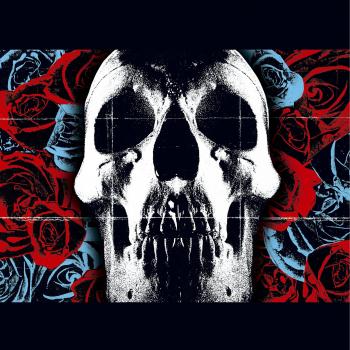 Deftones Vinili