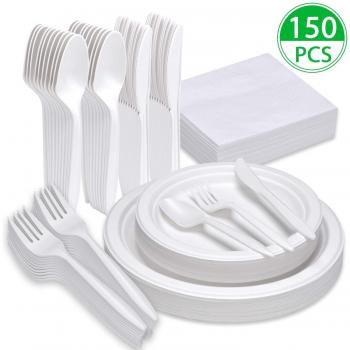 Disposable Plates for Parties and Camping 25 Count