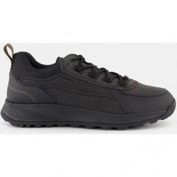Geox Sneakers Hombre
