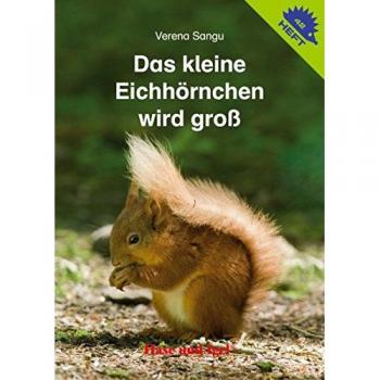 Verena Sangu Das Kleine Eichhörnchen Wird Groß (Igelhefte)