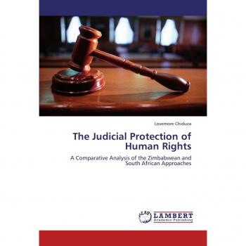 The Judicial Protection of Human Rights