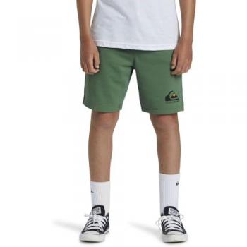 Pantalón Corto Quiksilver Easy Day para Niños