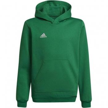 Felpa con Cappuccio Adidas Entrada 22 Verde Bambino