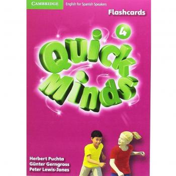 Quick Minds 4. Flashcards