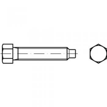 Vis Hexagonale 20mm DIN 561 M.Zapfen