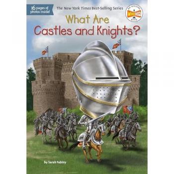 What Are Castles and Knights?, by Sarah Fabiny